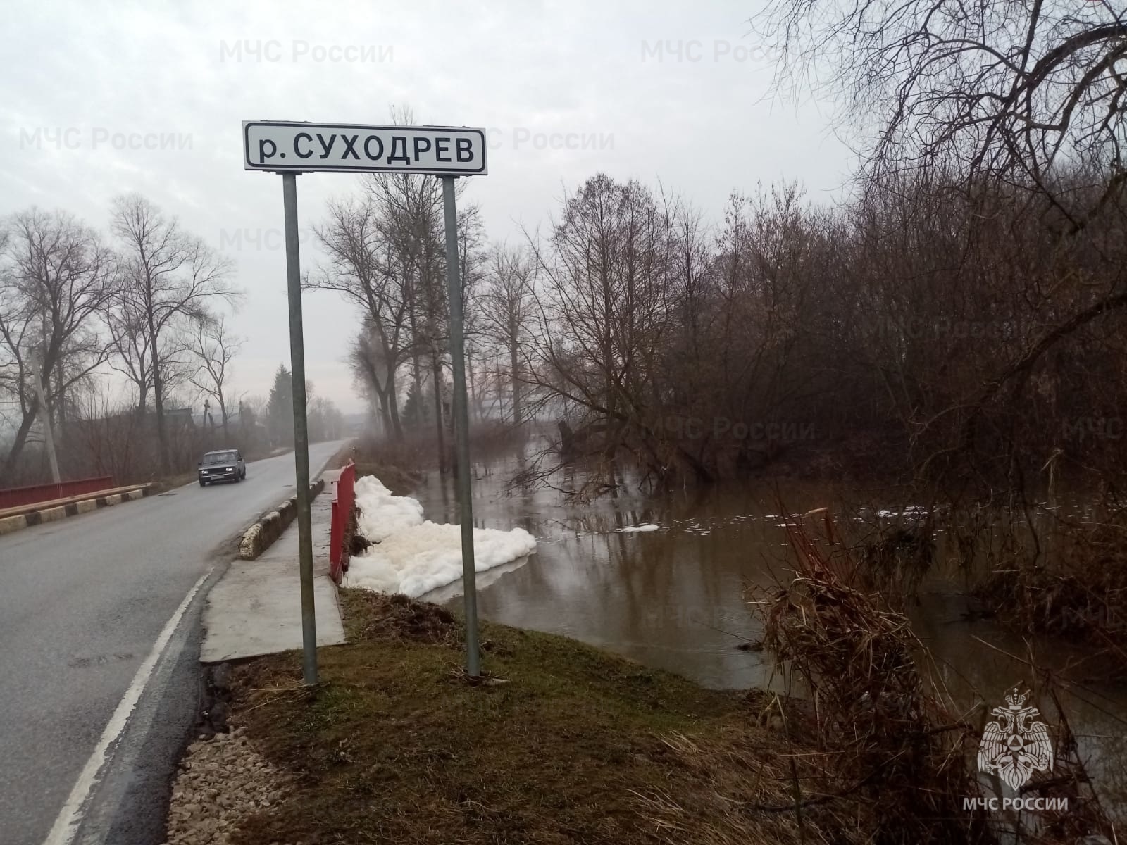 Суходрев калуга